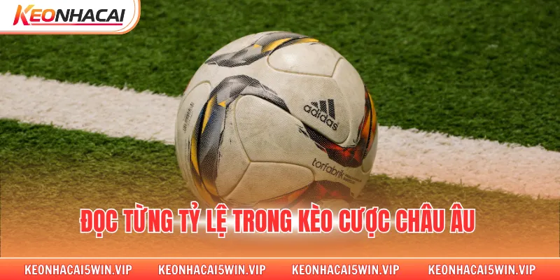 Đọc từng tỷ lệ trong kèo cược châu âu