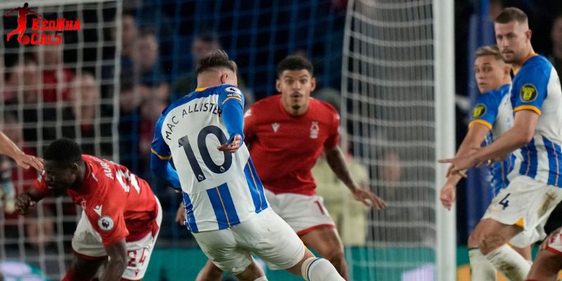 Brighton vs Nottingham cống hiến những trận cầu có nhiều bàn Brighton vs Nottingham cống hiến những trận cầu có nhiều bàn