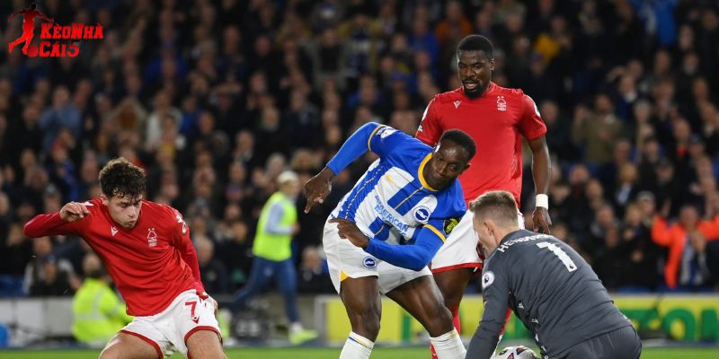 Brighton vs Nottingham đều hướng tới giành 3 điểm Brighton vs Nottingham đều hướng tới giành 3 điểm