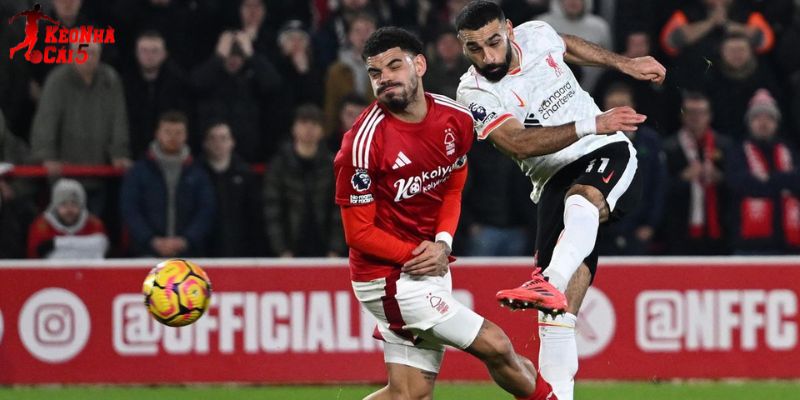Nottingham vs Liverpool có phong độ trái ngược nhau Nottingham vs Liverpool có phong độ trái ngược nhau
