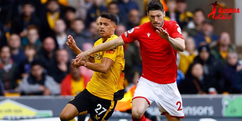 Nottingham vs Wolves cho thấy sự tương phản rõ rệt Nottingham vs Wolves cho thấy sự tương phản rõ rệt