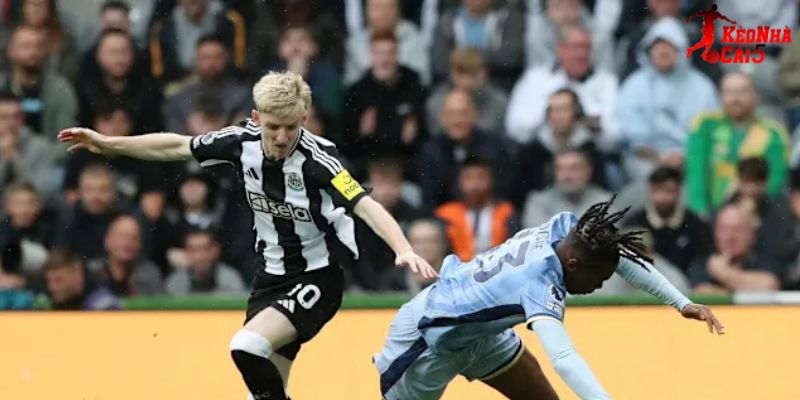 Tottenham vs Newcastle đang rất cần chiến thắng Tottenham vs Newcastle đang rất cần chiến thắng