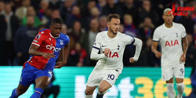Tottenham vs Crystal Palace luôn mang lại nhiều cảm xúc Tottenham vs Crystal Palace luôn mang lại nhiều cảm xúc